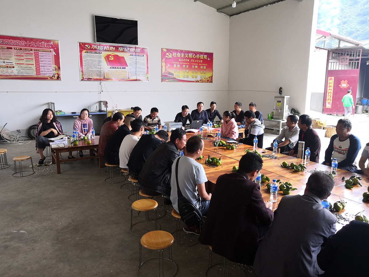 云南省昆明市宜良县巴江小羊寨至密枝科段治理工程单位工程验收